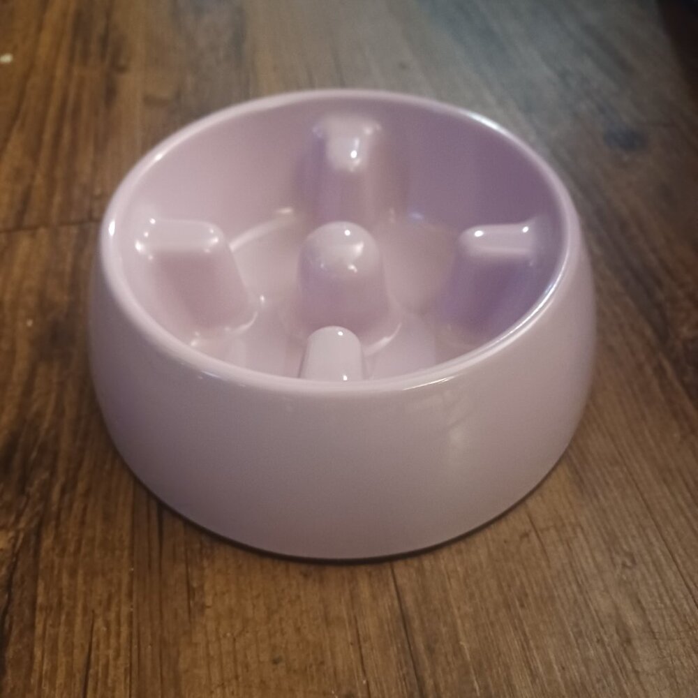 NEW Slow Feeder Dog Bowl for Wet or Dry Dog Food, Go Slow Anti-Gulping Dish
